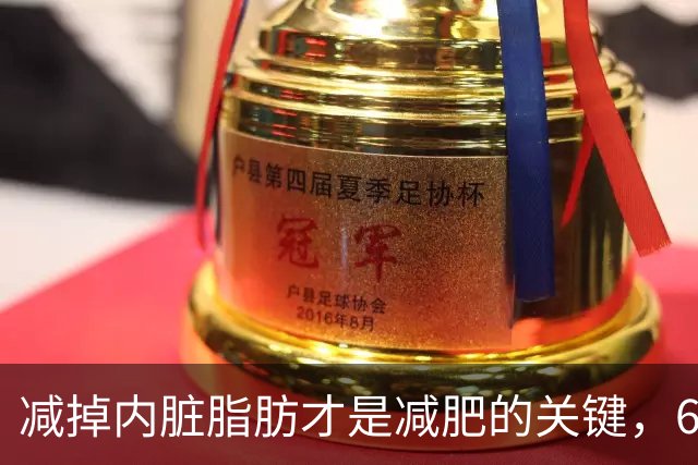 减掉内脏脂肪才是减肥的关键，6个方法让体脂率轻松掉10%！